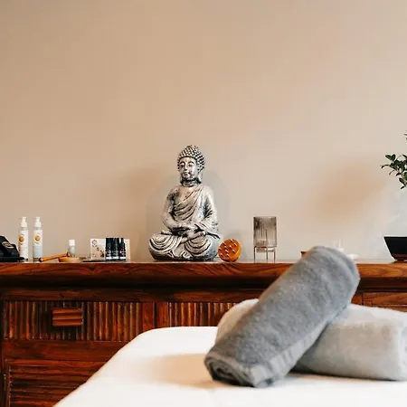 Cocooning 12 Pers Bien-etre Et Massages * Lestrem